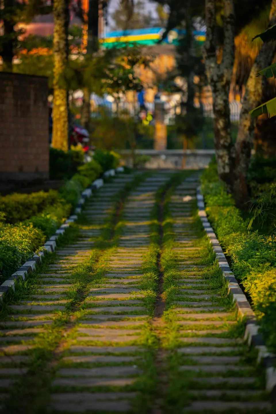 Chemin de jardin bordé de végétation