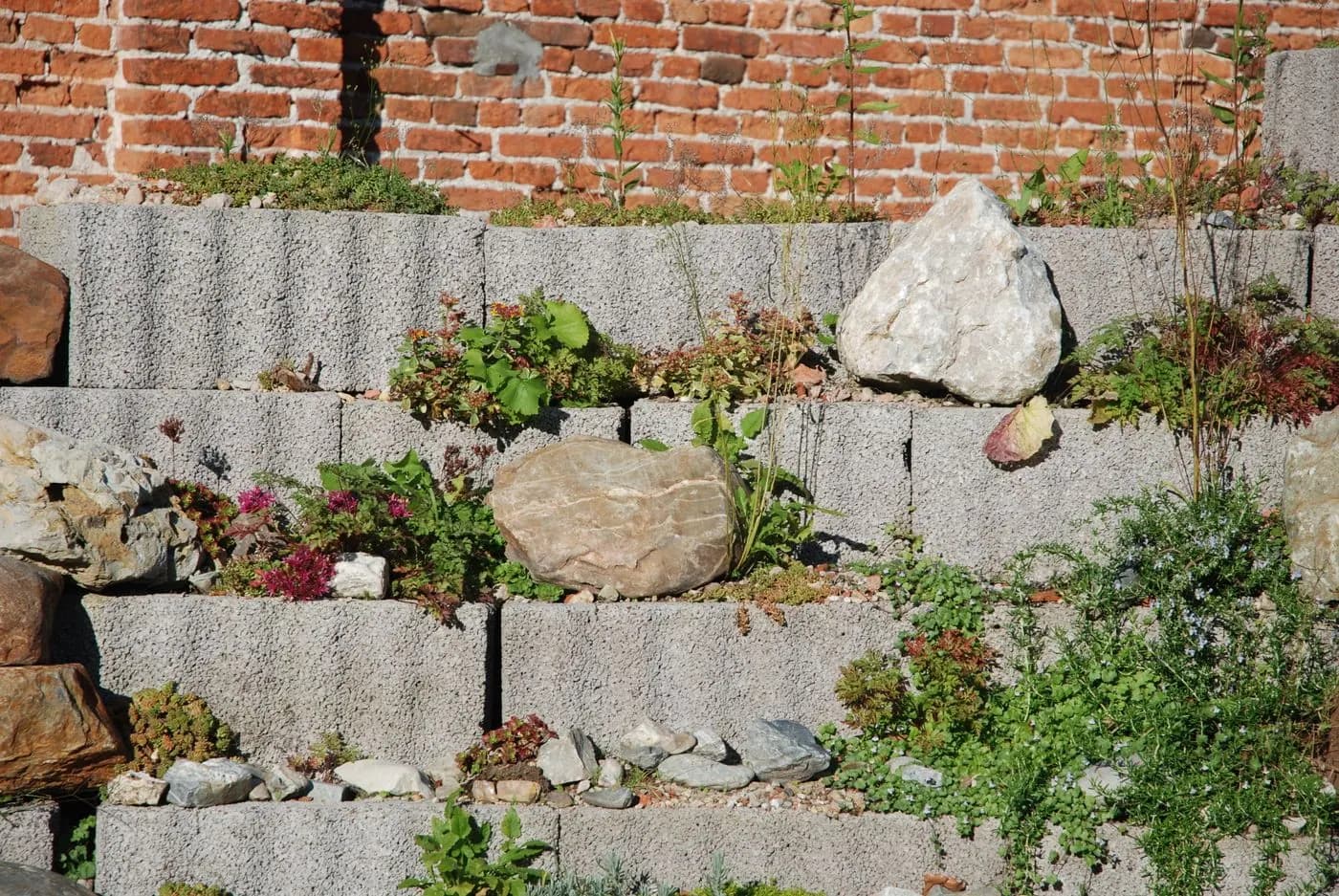 Détail d’une terrasse paysagée